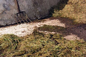 Landschaftspflege Mahdgut