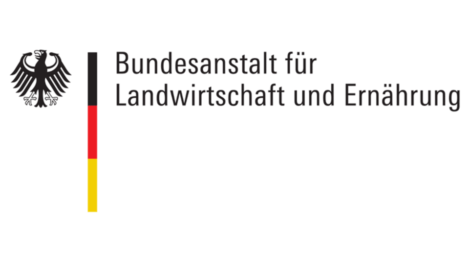 BLE Logo