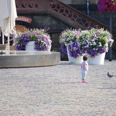 Flower Pots