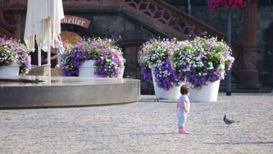 Flower Pots