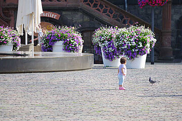 Flower Pots