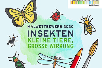 Wettbewerbs-Logo