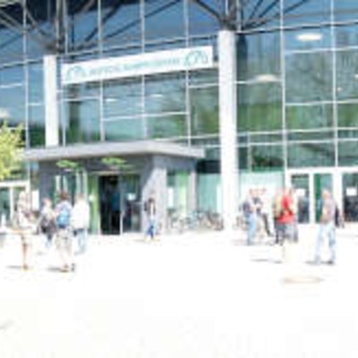 Baumpflegetage in Augsburg