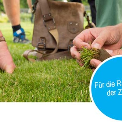 Rasenmanagement