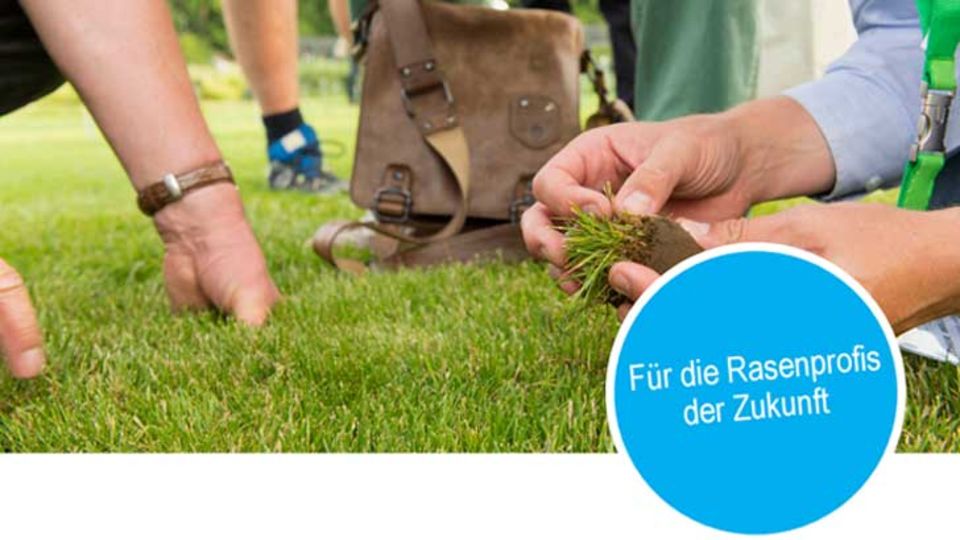 Rasenmanagement