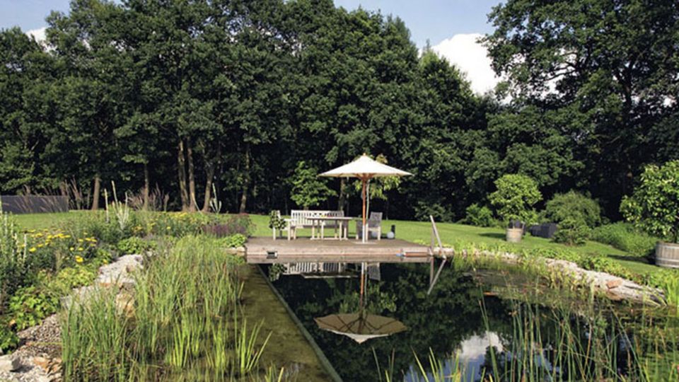 Schwimmteich