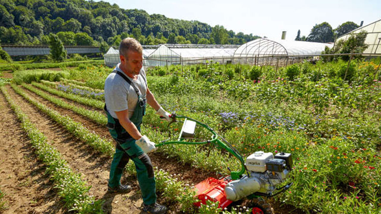 Garten- und Gemüsebau