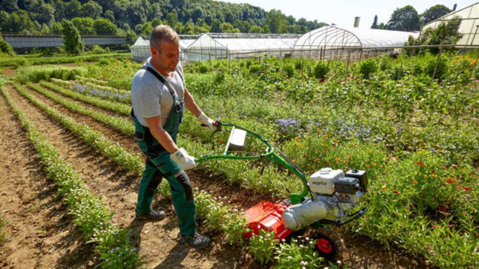 Garten- und Gemüsebau