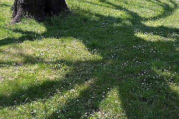 Grünanlagen spenden Schatten
