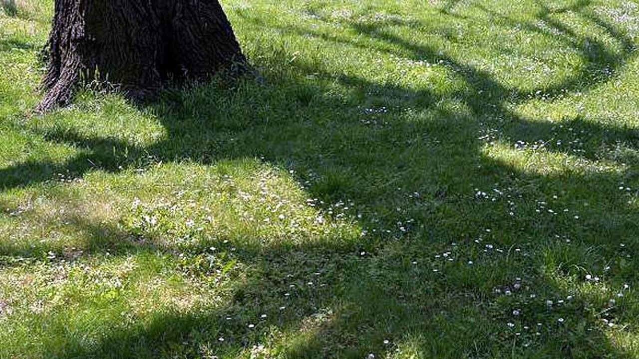 Grünanlagen spenden Schatten