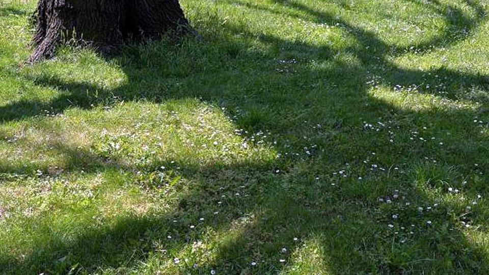 Grünanlagen spenden Schatten