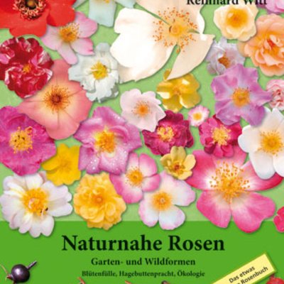 Naturnahe Rosen