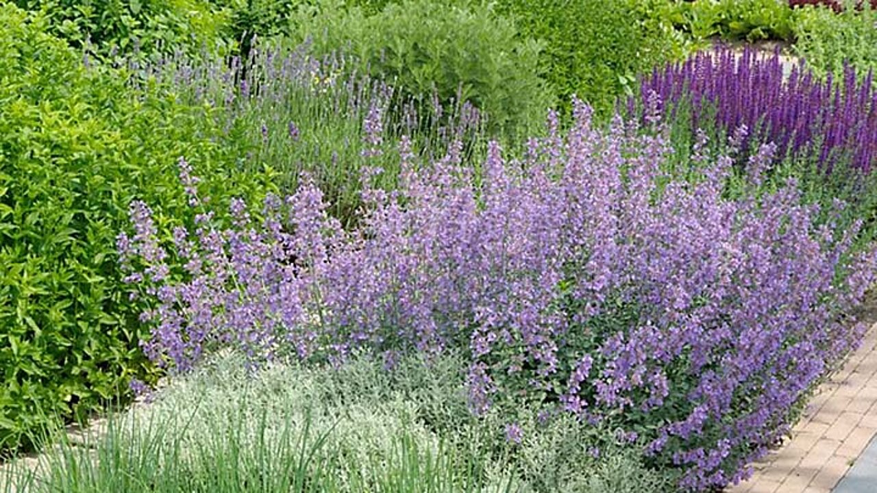 image-14027
