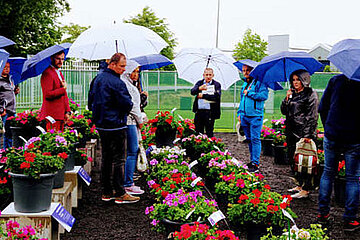 FlowerTrials