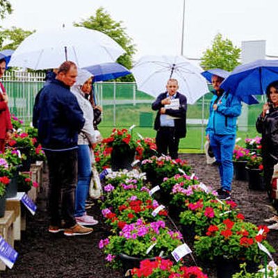FlowerTrials