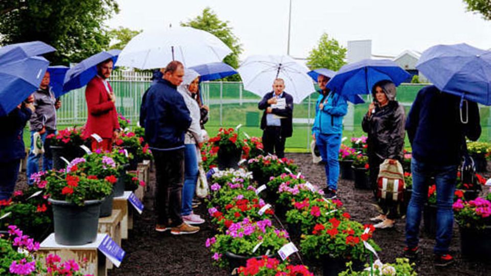 FlowerTrials