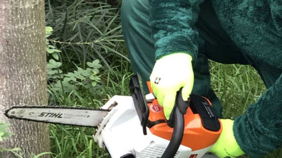 elektrische Motorsäge