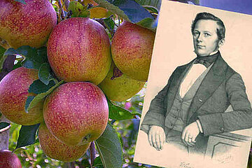 Eduard Lucas