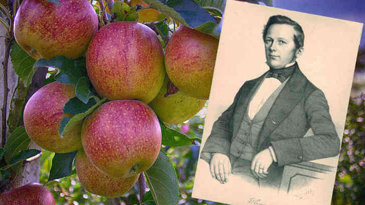 Eduard Lucas