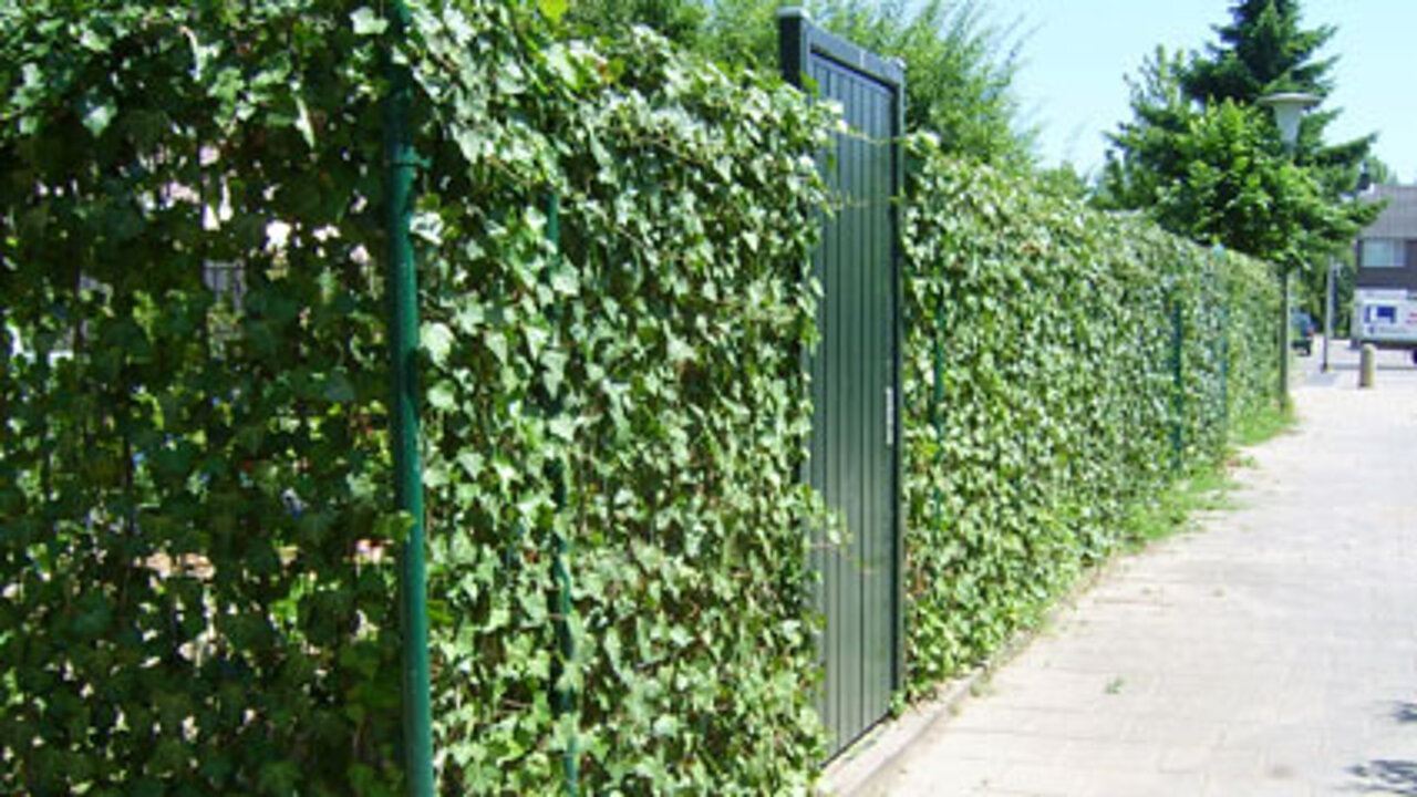 öffentliches Grün in Arnheim öffentliches Grün in Arnheim