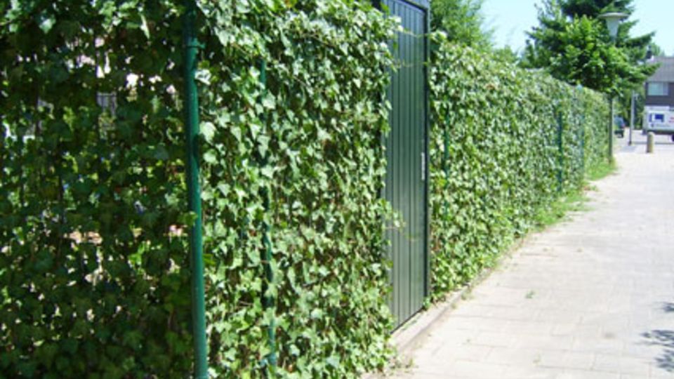 öffentliches Grün in Arnheim