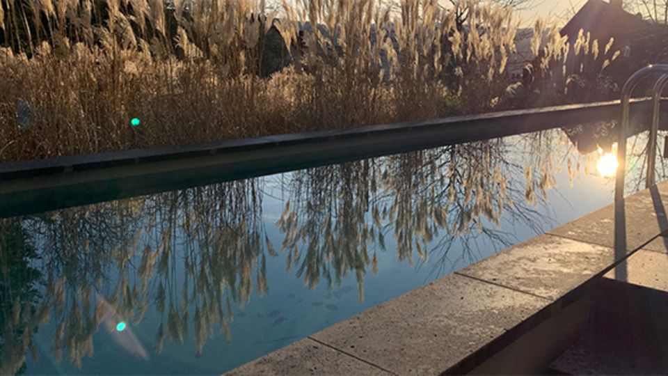 OASE WaterCreation Award