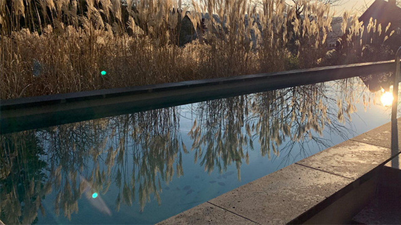 OASE WaterCreation Award