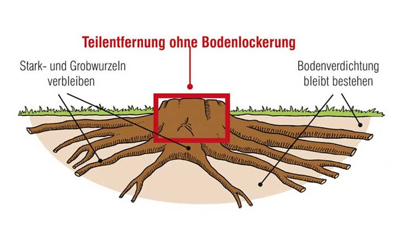 Teilentfernung