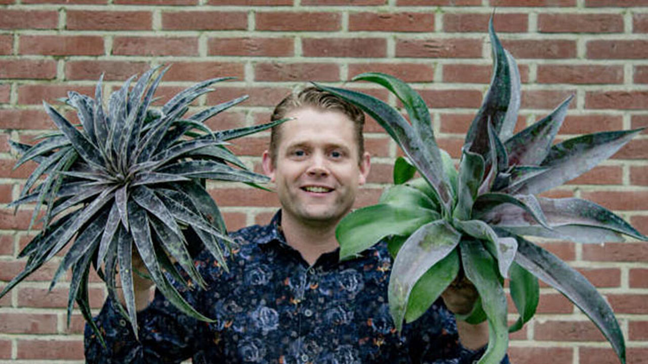 Tieme van den Haak