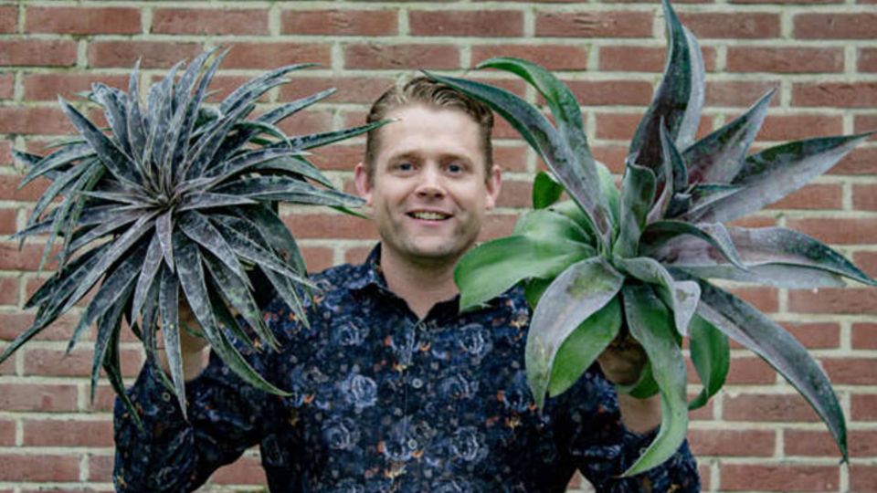 Tieme van den Haak