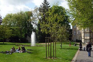Grün in den Städten