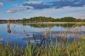 Image-14080