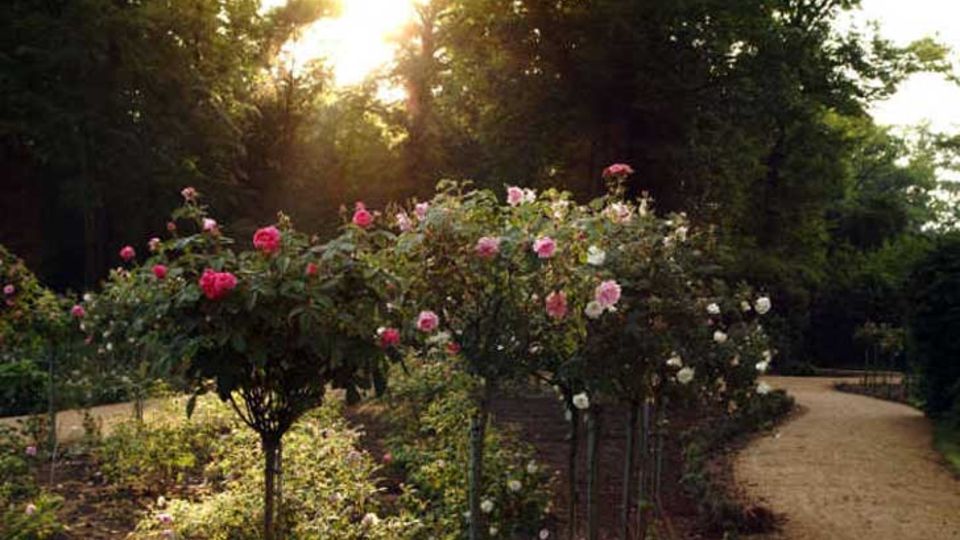 Rosengarten