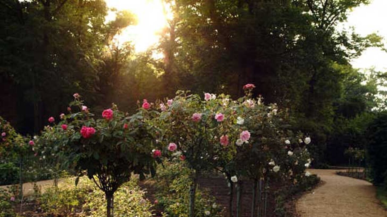 Rosengarten
