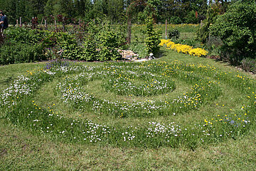 Image-17115