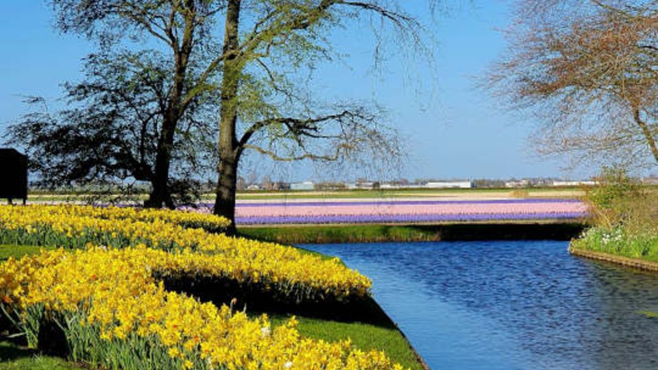 Keukenhof-Park