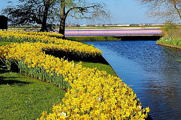 Keukenhof-Park