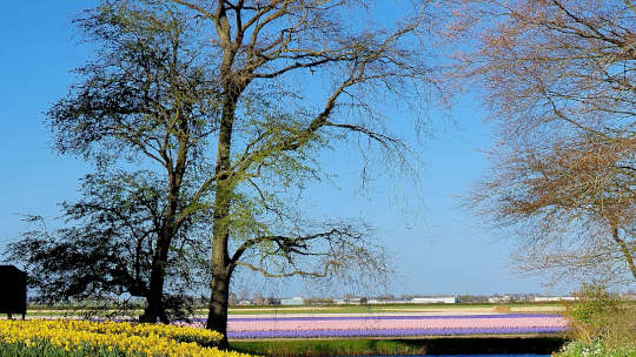 Keukenhof-Park