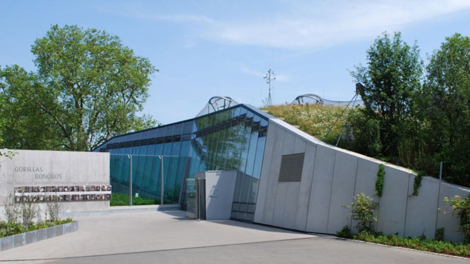 Steildachbereiche