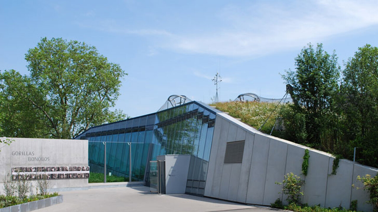 Steildachbereiche