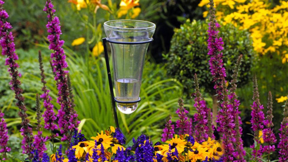Stauden im Garten