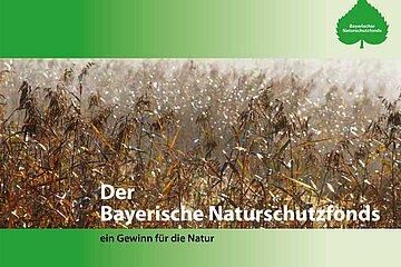 Bayerischer Naturschutzfonds
