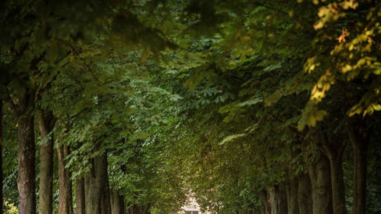 Garten von Schloss Bruchsal