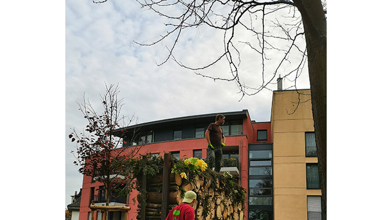 Insektenhotel