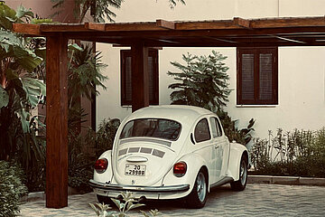 Pineca Carports aus Holz