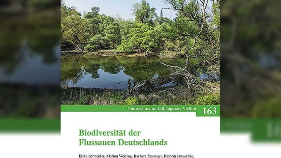 Flussauen