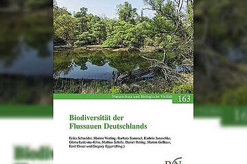 Flussauen