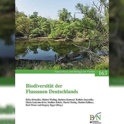 Flussauen