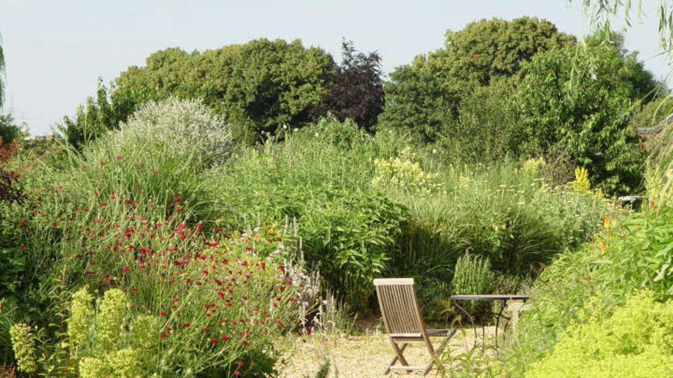 Garten