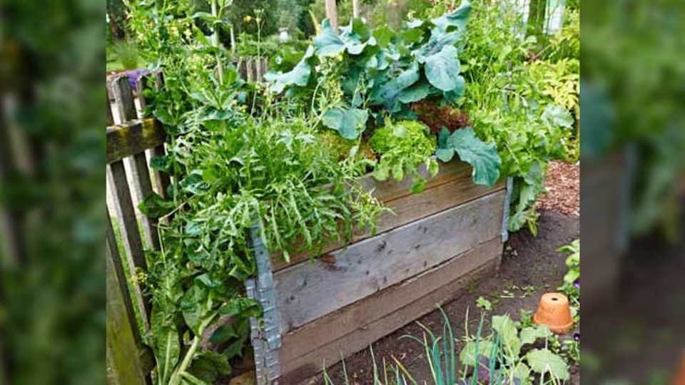 Universal Bio Hochbeet